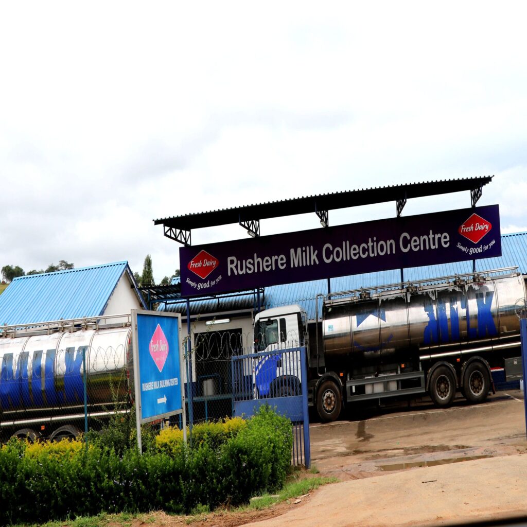milk collection centre