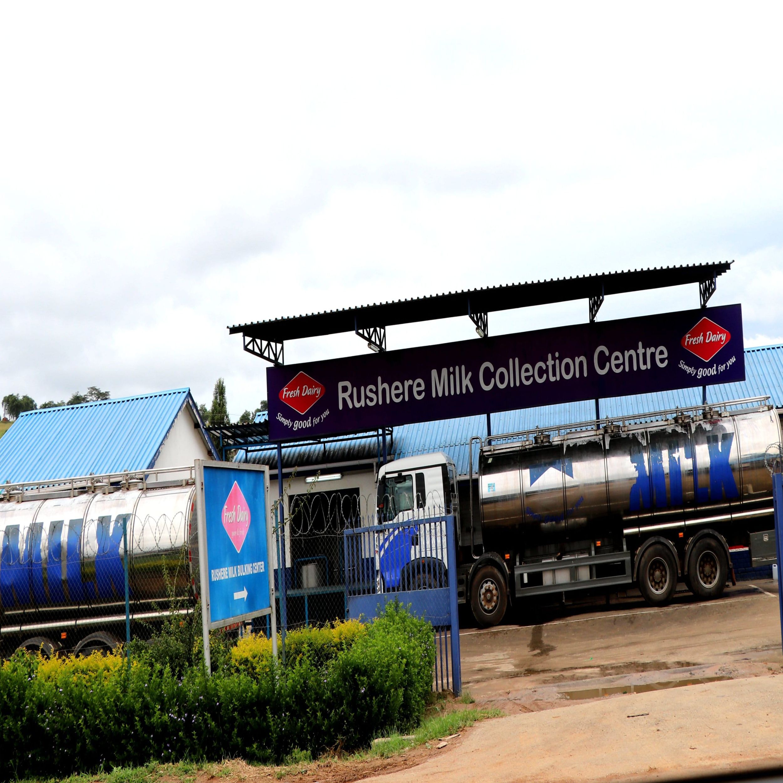 milk collection centre